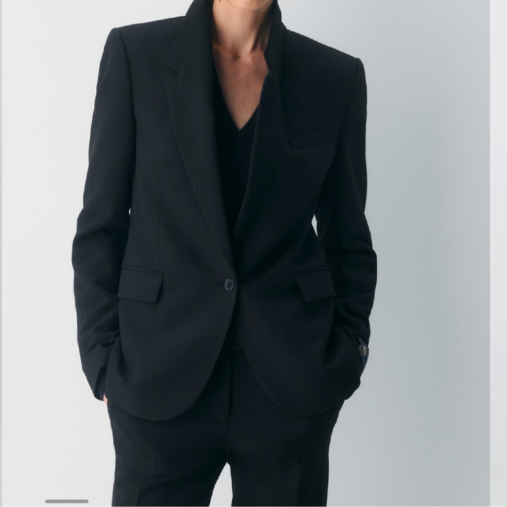 Aritzia Babaton Producer Blazer